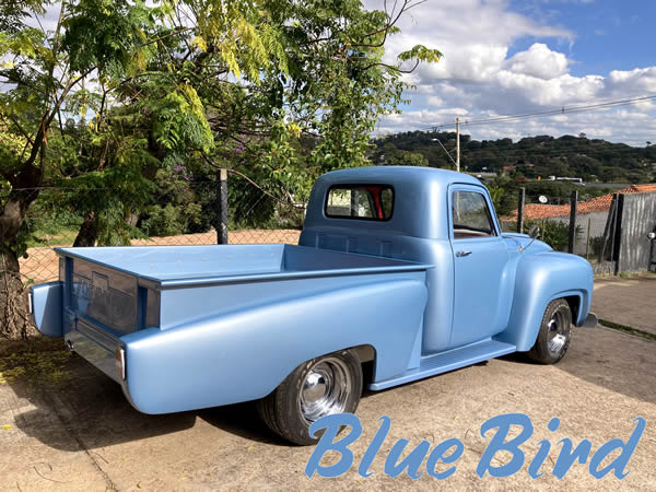 Chevrolet 3100 1960 Blue Bird