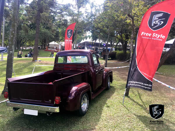 Ford F100 1955