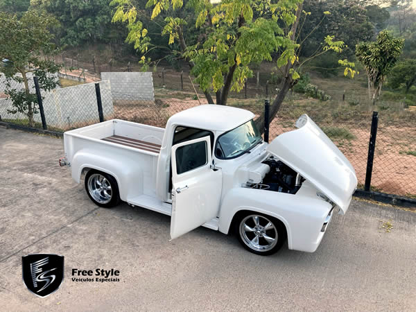 Ford F100 Pérola, 1959