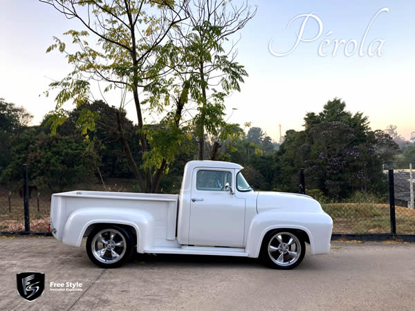 Ford F100 Pérola, 1959