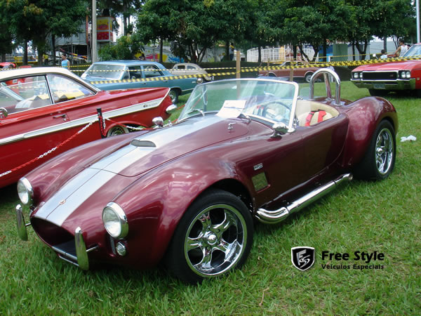 Shelby Cobra 302 Répilca